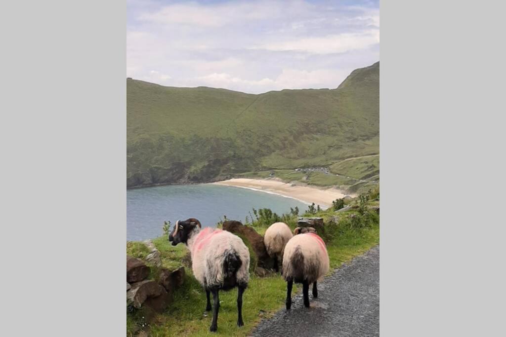 Barr An Uisce Villa Achill Sound Eksteriør bilde